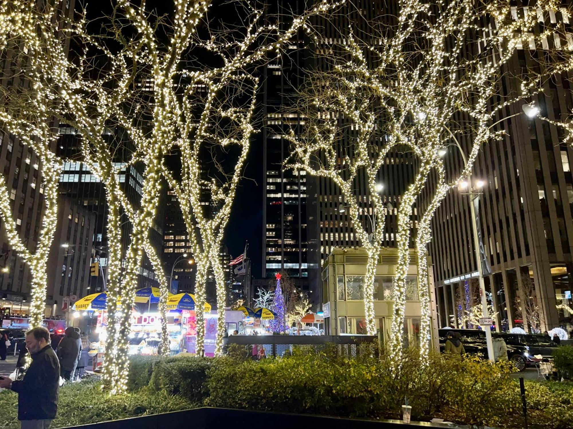 Moon Lotus Abode Alloggio in famiglia New York